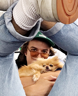 davidharboursource:“We have kind of a social media battle going — there’s a Pomeranian dog on our se