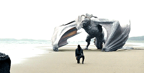 Every Dragon In House Of The Dragon Season 2