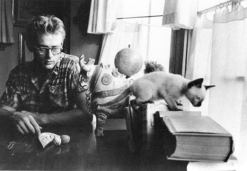 babeimgonnaleaveu:   James Dean with Marcus, a Siamese cat who was a gift from Elizabeth