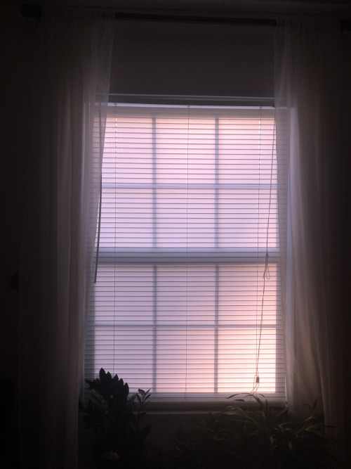 fineapplepizza:the sun was magical coming through my window