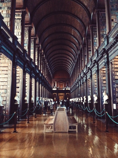 theclassylawblr: This library moved me to tears.