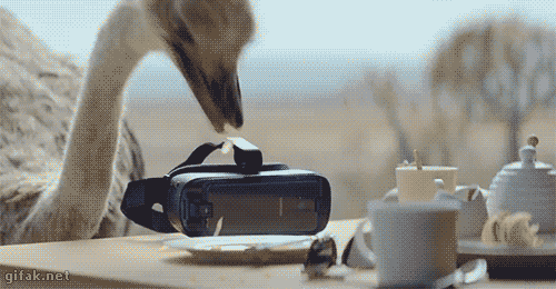 Ostrich learns to fly thanks to VR. [full video]