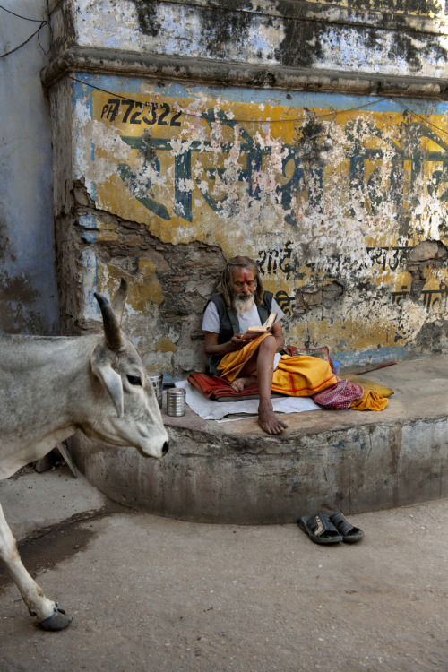 stevemccurrystudios:“We read to know we’re not alone.” - William Nicholson, S