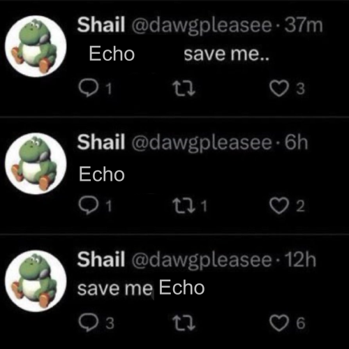 Is There An Echo In Here, Or Is It Just Me?