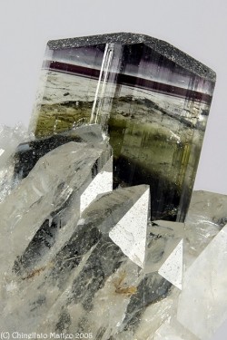 mineralia:Elbaite from Italyby Chinellato Matteo