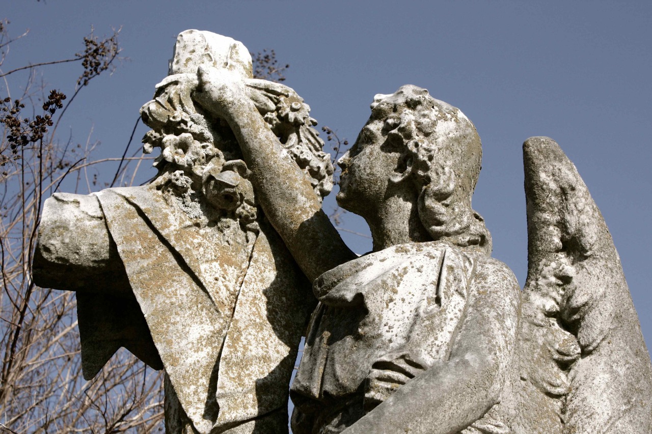gardensofstone:  Elmwood CemeteryMemphis, TN3.26.16 all photos are my own 