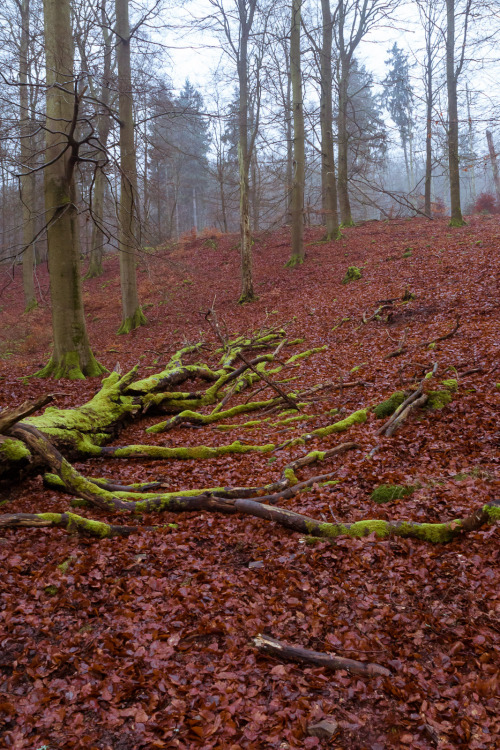 marcel-photos: Hiking Impressions - Edersee, Hessen, Germany Photography by Marcel Briefs, 2015, CC 