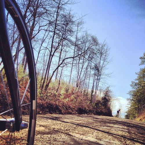 motiveflow:  Gravel. #cupcakeride