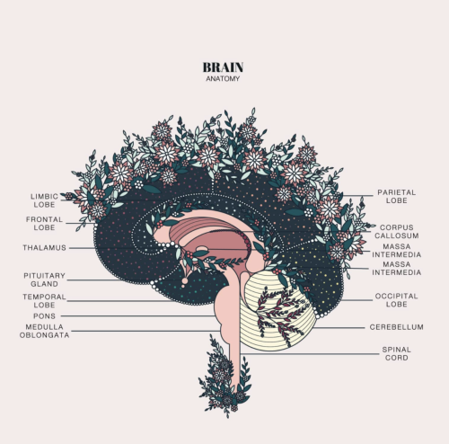 themedicalstate:  Anatomical Illustrations by Duvet DaysAn organization that uses design to create awareness, self discovery, and a space for self-love while supporting those affected by rape and domestic abuse.