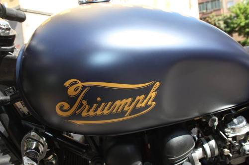 Porn Pics cafuneus:  triumph 