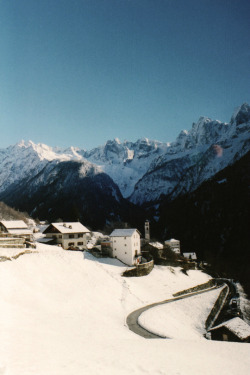 expressions-of-nature:  by Polly Balitro Soglio, Switzerland 