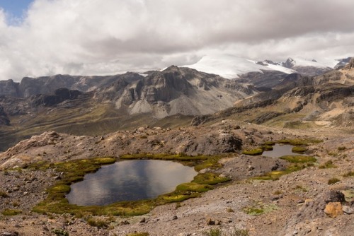 Cordillera de HuayhuashPerúJunio 2019instagram / vsco / tumblr   (More from Huayhuash)