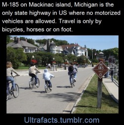 ultrafacts:  Source Follow Ultrafacts for more facts 