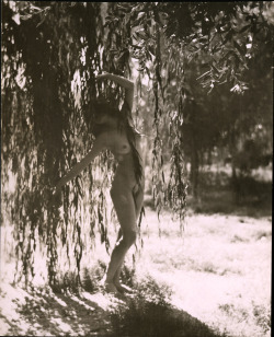 pizzzatime:inneroptics: Edwin Bower Hesser