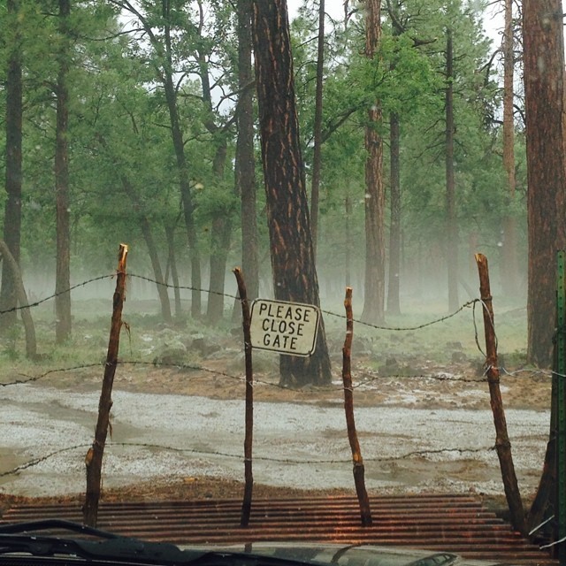 ventrice1221:
“ Yesterday’s rain storm brought gorgeous fog #flagstaff
”