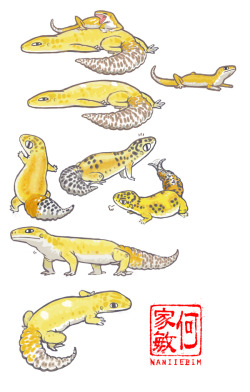 rate-my-reptile:  naniiebim:  Leopard geckos… Been wanting to get some merch made for a while- but didn’t get to do any art- I’ve been prepping for Thought bubble this week- so gave myself a day to draw some stuff. Website: www.naniiebimhbd.co.ukTumblr: