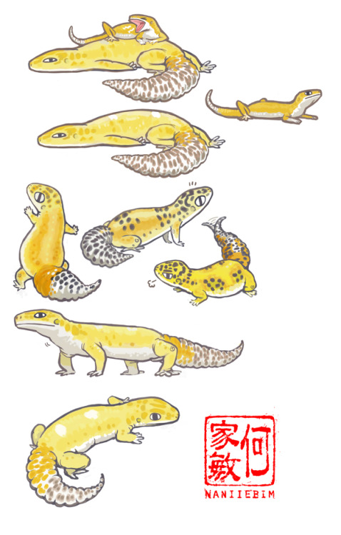 rate-my-reptile:naniiebim:Leopard geckos…Been wanting to get some merch made for a while- but didn’t