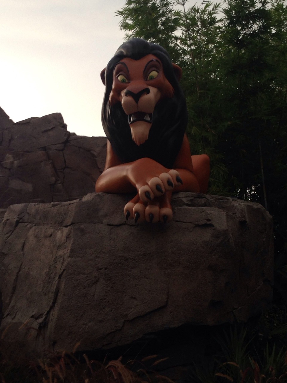 Enjoying a week at Disney World.