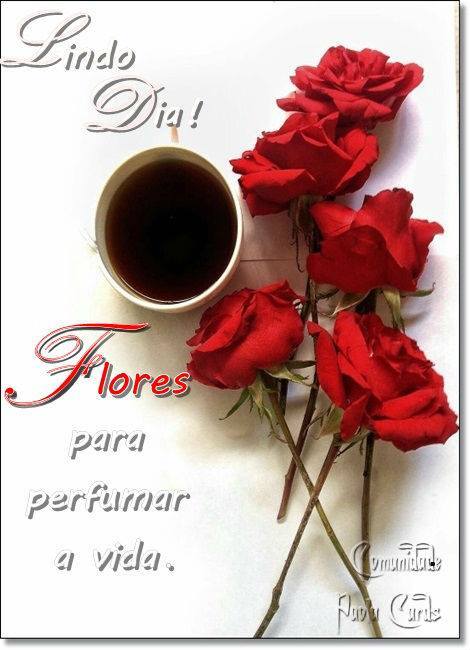 d7608c295fd469faeea447846f1e9d26fa4f2dbd