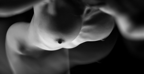 Foto Gear
