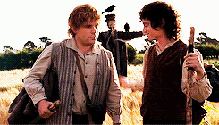 ianmckellen:  lotr meme: six bro/otp’s (2/6) → Frodo and Sam &ldquo;I made