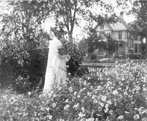 debris-de-reves:    Addie stands in a bower of flowers on the grounds of the Fargo Mansion.  