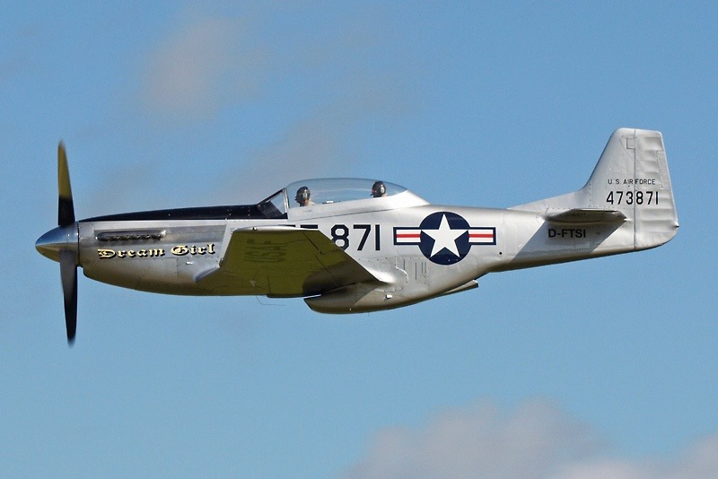 North American P-51 Mustang United States Air Force USFA over Woodchurch art 