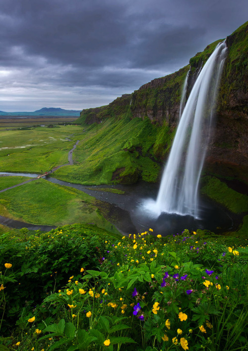 coiour-my-world: Overcast ~ Seljalandsfoss, Iceland ~ Dave McEllistrum