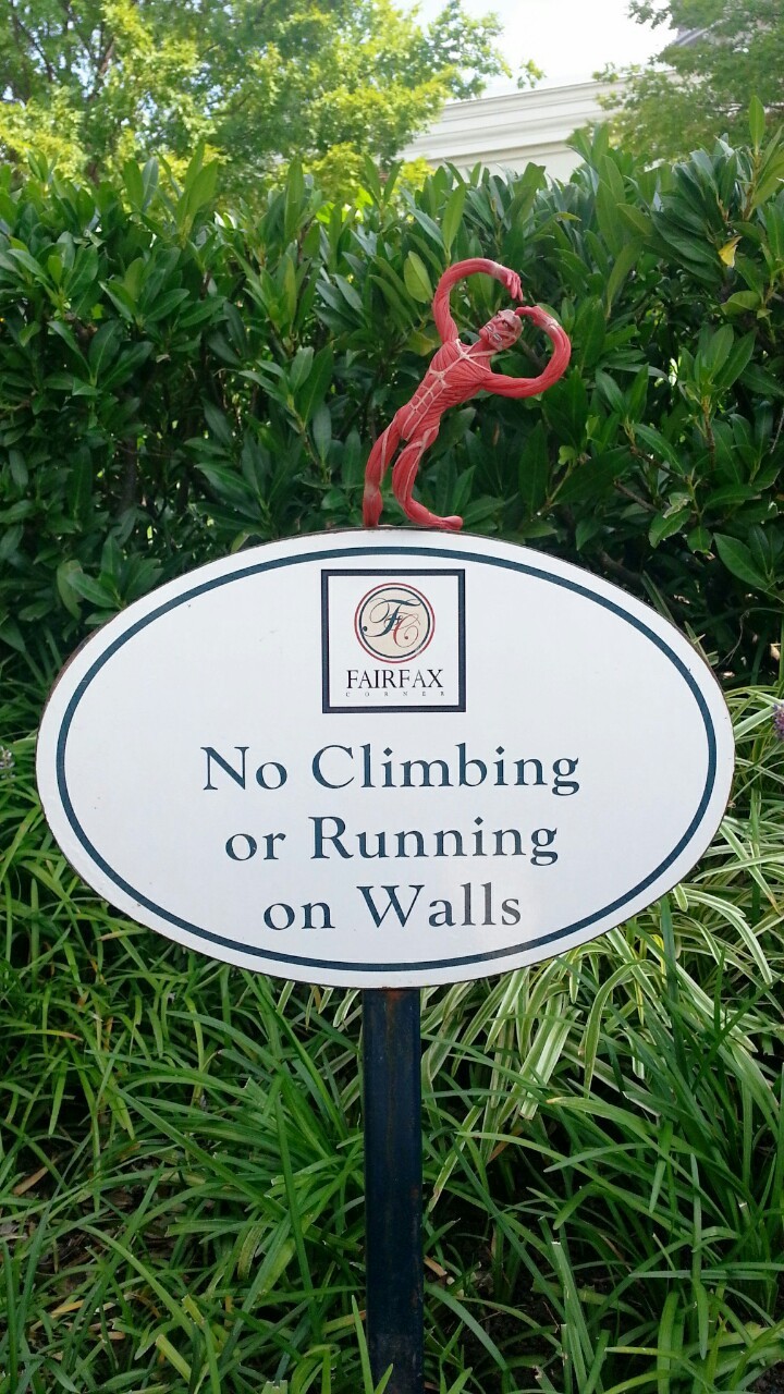 tasobi:  fuck the rules 