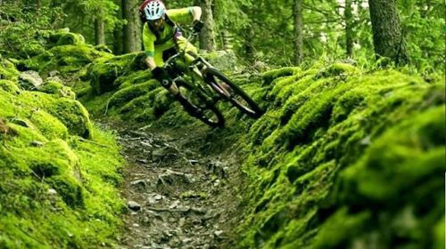 Screen Shot Of Rule The Trail Thomas “Prof” Schmitt in Action .  #mountainbikes #mountai