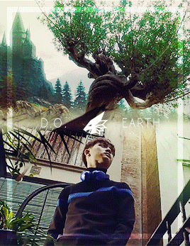 cinexo:Pathcode #HOGWARTS