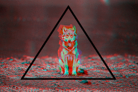 alwaysnerdyanna17:Personalities dont have limits.