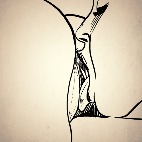 carmenicadiaz:  A delightful way to begin Worship Wednesday! 