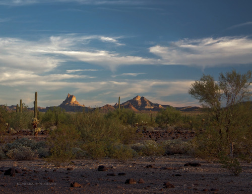 brunomax-photography: Autumn in Arizona   © 2016 Bruno-Max Photography, all rights reserved   