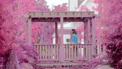 johnrsilver:  You know, I was thinking… back before we went out to the quarry.