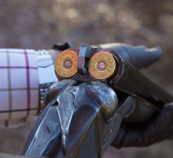 Gentleman Bobwhite