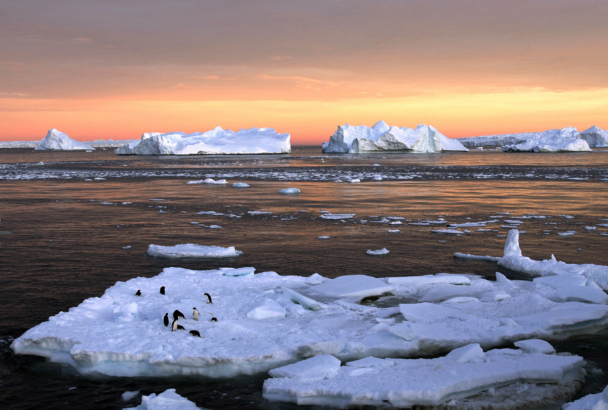 nevver:  Happy Earth Day