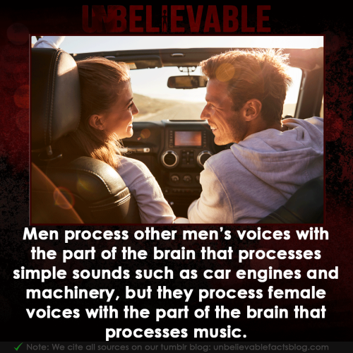 unbelievable-facts:    Men process other men’s voices with the part of the brain that processes simple sounds such as car engines and machinery, but they process female voices with the part of the brain that processes music.      Happy Valentine’s