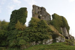 rhaegarsstark:    Carrigogunnell Castle - Ireland   