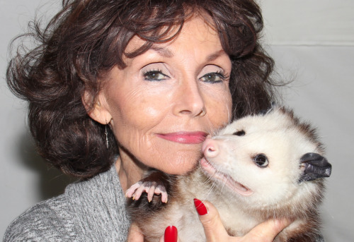opossummypossum: Georgette of ME PEARL fame!