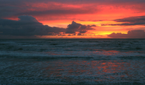 kalaloch