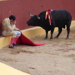 lizbethacosta:  Esta foto marca el final de la carrera de Álvaro Múnera como torero matador. El muchacho se desplomó lleno de remordimiento en la mitad de la corrida cuando se dio cuenta de que el toro se negaba a pelear por su vida. Álvaro se ha