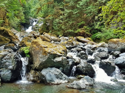 hikingvancouverisland:Rosewall Creek (Bowser) July 13 2017