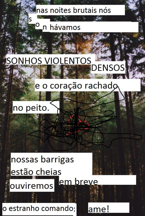 tarimbado: fardotropical-deactivated201504:   Primo Levi in Reveille   e nós amaremos! 