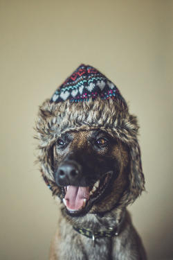 tempurafriedhappiness:  Pls to cold weather? Pls? Pls D: