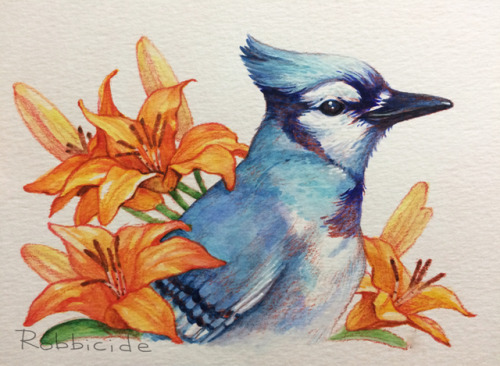 Watercolor birds! I didn’t scan these before I gave them away, so these are phone pictures, oops. Th