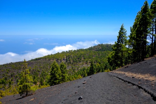 It’s from the sea to the summit… and back to the sea again on the trails of La Palma.Photo: B