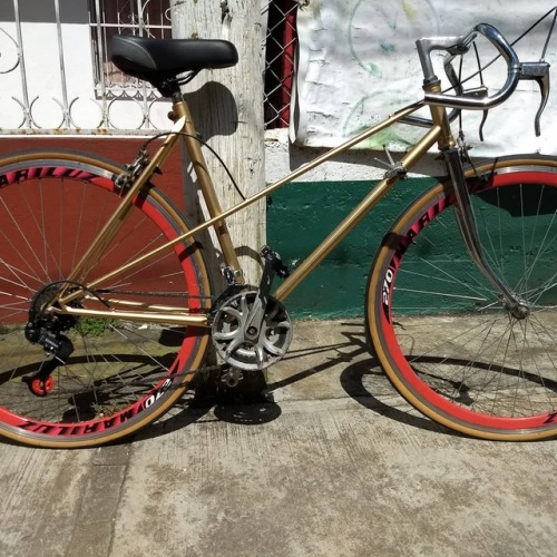 bikesforlives:Así quedó la Bicicleta Benotto mixta lady 500