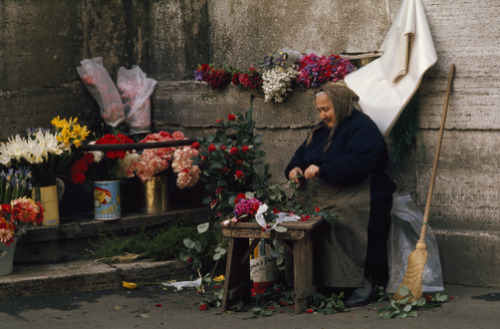 unrar:A flower vendor readies her day’s offerings, Rome, Italy, Winfield Parks.