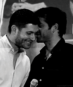amaelangel:  (x)(x)